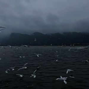 1024手机看片基地
